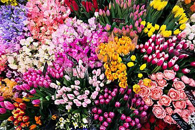 《星刃》媒体评测即将开始 评分4月24日解禁