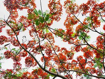 育碧：玩家应该慢慢习惯不拥有游戏